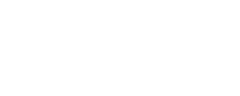 LANGUAGE